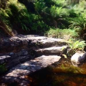 Meet your Posher, Kynnan